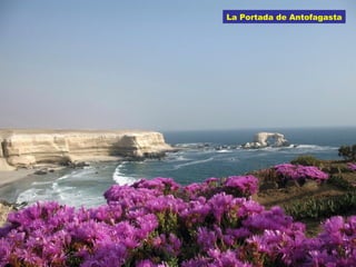 La Portada de Antofagasta 