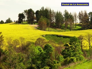 Postal de La Araucanía 