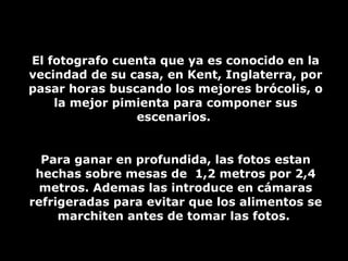 El fotografo cuenta que ya es conocido en la vecindad de su casa, en Kent, Inglaterra, por pasar horas buscando los mejores brócolis, o la mejor pimienta para componer sus escenarios.  Para ganar en profundida, las fotos estan hechas sobre mesas de  1,2 metros por 2,4 metros. Ademas las introduce en cámaras refrigeradas para evitar que los alimentos se marchiten antes de tomar las fotos.  