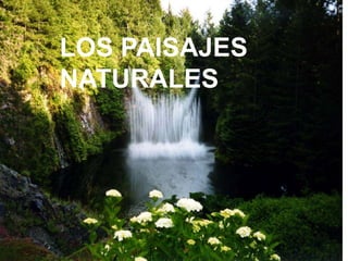 LOS PAISAJES
NATURALES
 