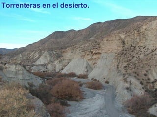 Torrenteras en el desierto. 