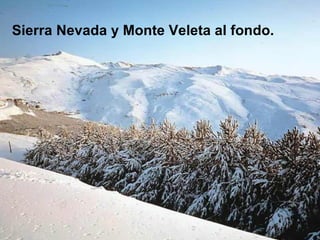 Sierra Nevada y Monte Veleta al fondo. 