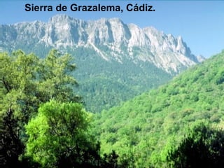 Sierra de Grazalema, Cádiz. 
