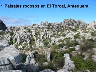 Paisajes rocosos en El Torcal, Antequera. 