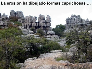 La erosión ha dibujado formas caprichosas … 
