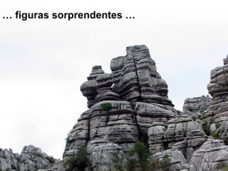 …  figuras sorprendentes … 
