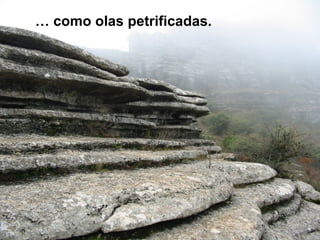 …  como olas petrificadas. 