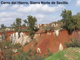 Cerro del Hierro, Sierra Norte de Sevilla. 