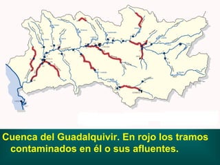 Cuenca del Guadalquivir. En rojo los tramos contaminados en él o sus afluentes. 