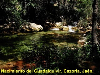 Nacimiento del Guadalquivir, Cazorla, Jaén. 