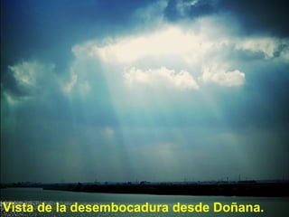 Vista de la desembocadura desde Doñana. 