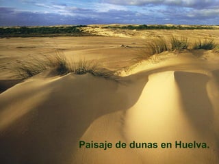 Paisaje de dunas en Huelva. 