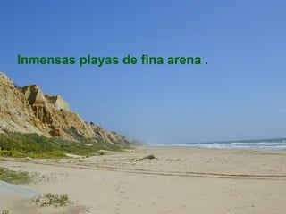 Inmensas playas de fina arena . 