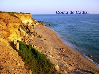 Costa de Cádiz. 