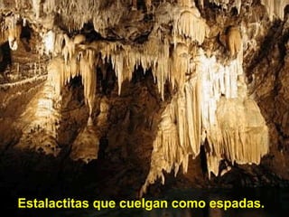 Estalactitas que cuelgan como espadas. 