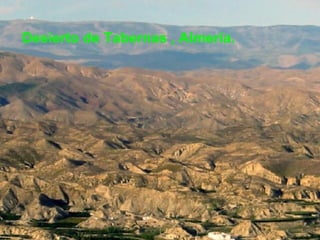 Desierto de Tabernas , Almería. 