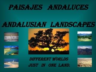 Paisajes  andaluces Andalusian   landscapes Different worlds  just  in  one  land. 