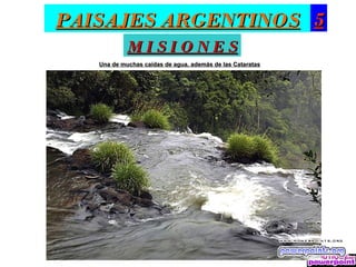PAISAJES ARGENTINOS 5
            MISIONES
   Una de muchas caídas de agua, además de las Cataratas
 