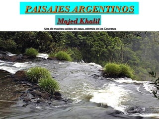 PAISAJES ARGENTINOS
Majed Khalil
Una de muchas caídas de agua, además de las Cataratas

 