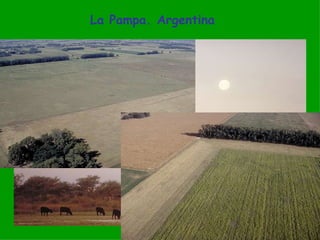La Pampa. Argentina 