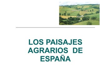 LOS PAISAJES AGRARIOS  DE ESPAÑA 
