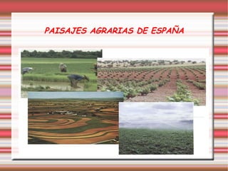 PAISAJES AGRARIAS DE ESPAÑA
 