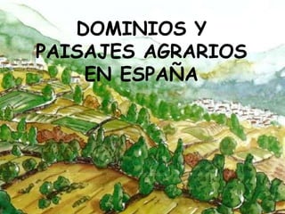 DOMINIOS Y
PAISAJES AGRARIOS
    EN ESPAÑA
 