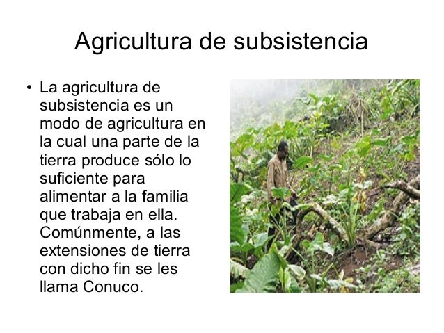 Que Es La Agricultura De Subsistencia