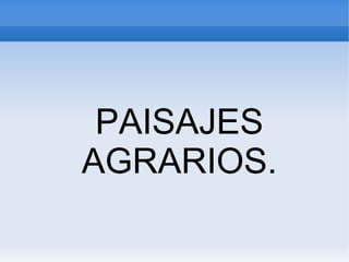 PAISAJES
AGRARIOS.

 