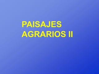 PAISAJES
AGRARIOS II
 
