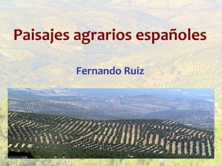 Paisajes agrarios españoles

        Fernando Ruiz
 