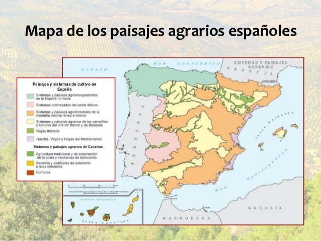 Paisajes agrarios españoles