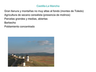 Castilla-La Mancha
Gran llanura y montañas no muy altas al fondo (montes de Toledo)
Agricultura de secano cerealista (presencia de molinos)
Parcelas grandes y medias, abiertas
Barbecho
Poblamiento concentrado
 