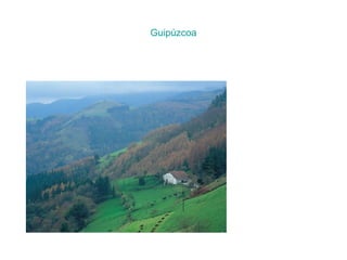 Guipúzcoa
 