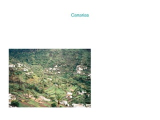 Canarias
 