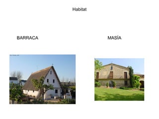 Habitat




BARRACA             MASÍA
 
