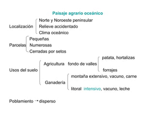 Paisaje agrario oceánico
               Norte y Noroeste peninsular
Localización Relieve accidentado
               Clima oceánico
           Pequeñas
Parcelas Numerosas
           Cerradas por setos
                                                 patata, hortalizas
                   Agricultura fondo de valles
Usos del suelo                                 forrajes
                                montaña extensivo, vacuno, carne
                   Ganadería
                                litoral intensivo, vacuno, leche

Poblamiento      disperso
 