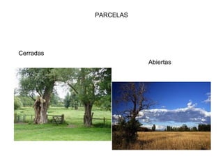 PARCELAS




Cerradas
                      Abiertas
 