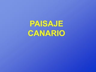 PAISAJE
CANARIO
 