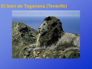 El león de Taganana (Tenerife)
 