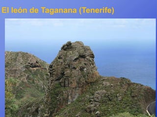 El león de Taganana (Tenerife)
 