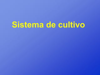 Sistema de cultivo
 