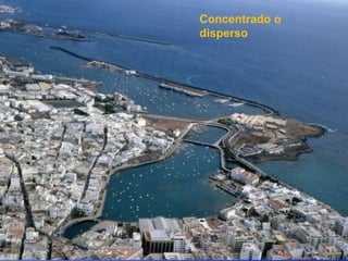 Concentrado o
disperso
 