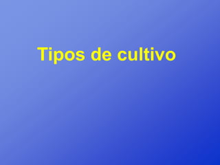 Tipos de cultivo
 