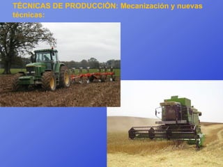TÉCNICAS DE PRODUCCIÓN: Mecanización y nuevas
técnicas:
 
