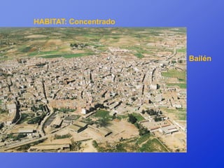 HABITAT: Concentrado



                       Bailén
 