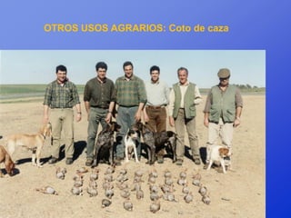 OTROS USOS AGRARIOS: Coto de caza
 