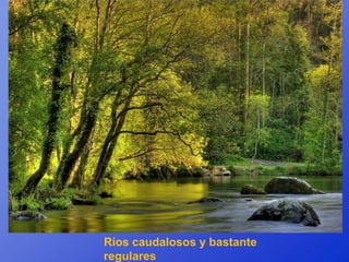 Ríos caudalosos y bastante
regulares
 