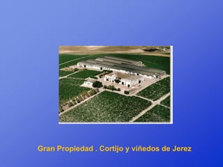 Gran Propiedad . Cortijo y viñedos de Jerez
 
