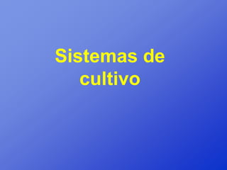 Sistemas de
   cultivo
 